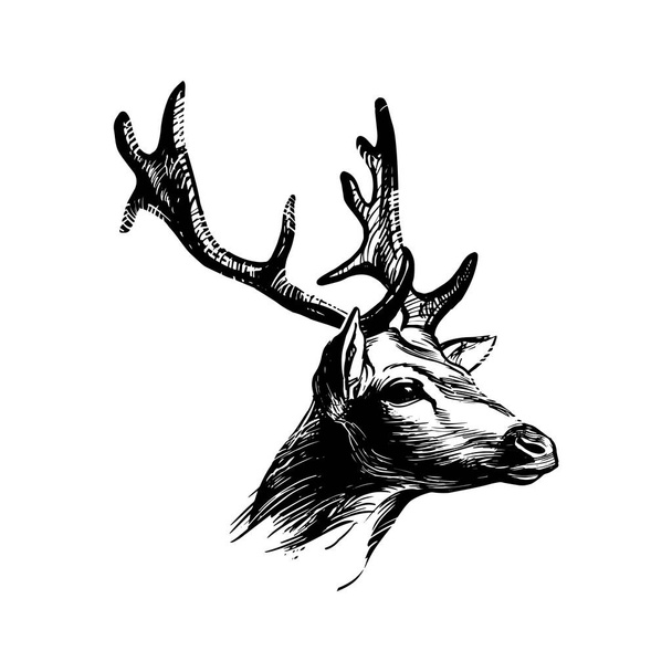 鹿の頭だ。印刷、ヴィンテージヒップスタースタイルのためのグラフィックインクの描画。貴族の象徴。ベクターイラスト - ベクター画像