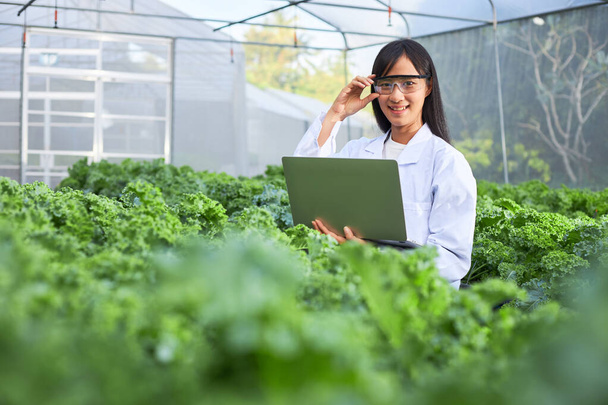 The female botanist, geneticist, or scientist with laptop is working in greenhouses full of plants. - Foto, afbeelding