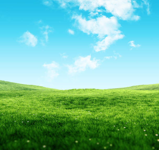 Égbolt és fű háttér - Fotó, kép