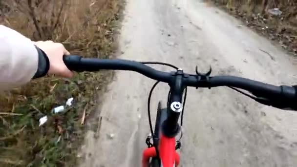 ένα κορίτσι σε ένα ποδήλατο βόλτες κατά μήκος ενός δασικού δρόμου στην Ουκρανία το Δεκέμβριο, μια βόλτα στο δάσος - Πλάνα, βίντεο