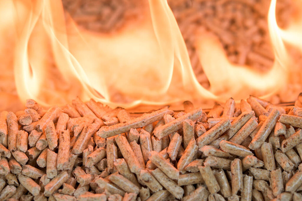 Stos granulek iglastych w płomieniach - biomasa drewniana - Zdjęcie, obraz
