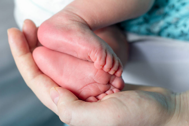 Μικρά πόδια ενός νεογέννητου μωρού στα χέρια μιας μητέρας. - Φωτογραφία, εικόνα