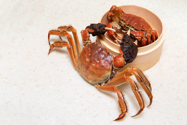 Crabe chinois poilu cuit isolé sur blanc - Photo, image