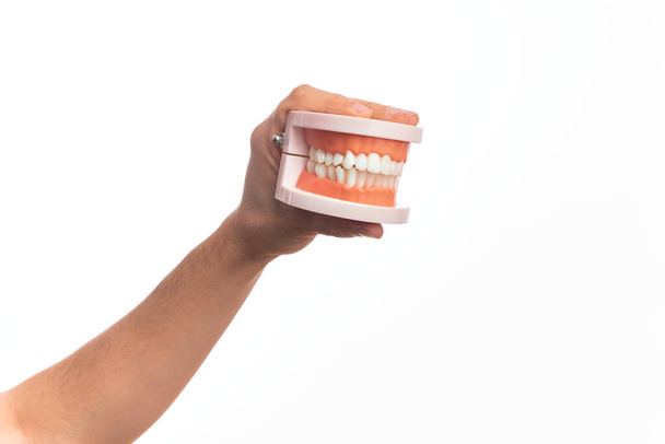 Hand of caucasian young man holding plastic denture teeth over isolated white background - Photo, Image