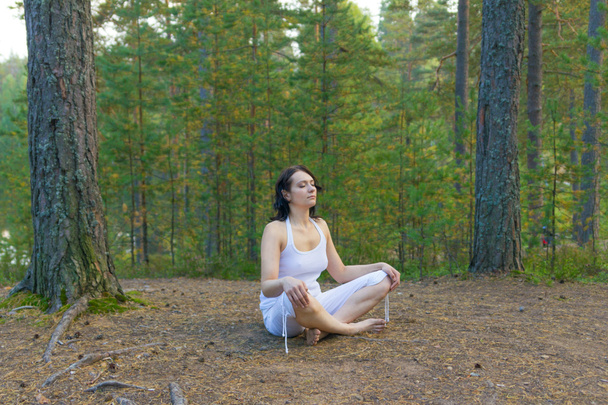 Woman meditate in the forest - Φωτογραφία, εικόνα
