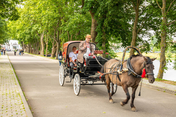 Antique horse drawn cart in a city park. - Foto, Imagen