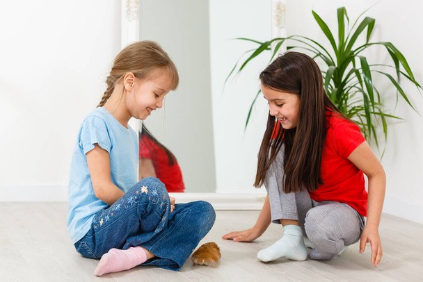 dos niñas juegan con un hámster en el suelo en casa - Foto, Imagen