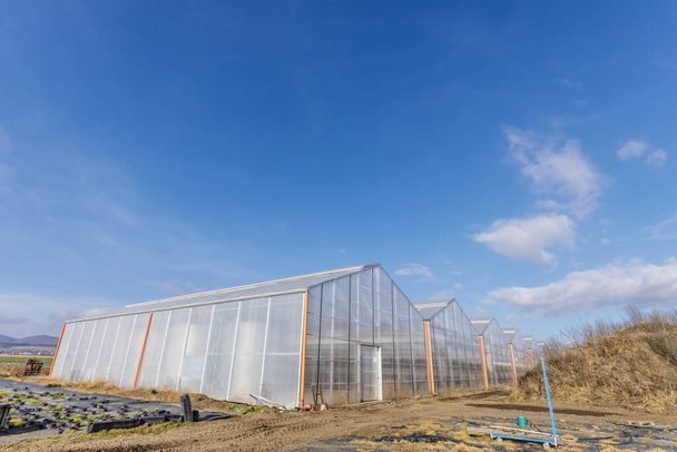 Концепція садівництва з теплицею. Синій хмарний фон неба
 - Фото, зображення