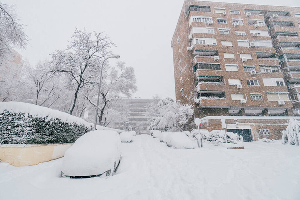 Madrid street covered in snow due to historic Filomena storm with more than 30 cm of snow. Cars, trees and building with snow. - Photo, Image