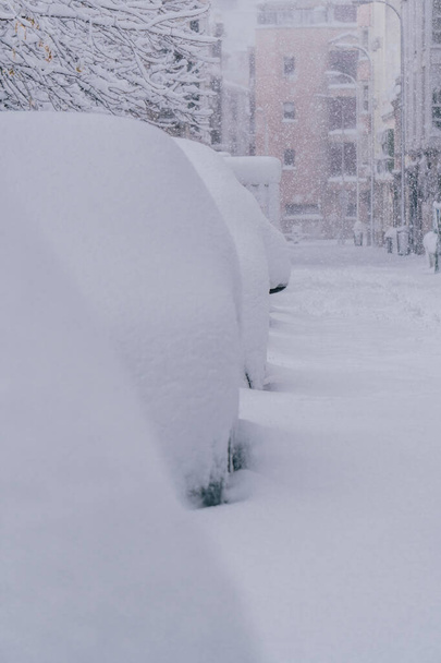 Useita autoja kadulla Madridissa lumen peitossa. Yli 30 cm lunta. Filomena Storm. - Valokuva, kuva