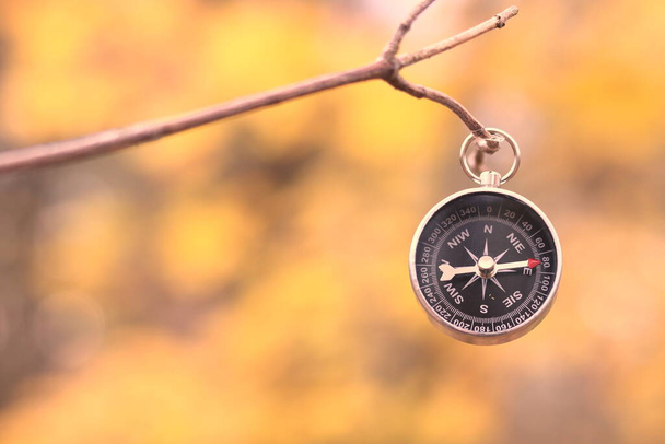 Klasický navigační kompas na přírodním pozadí jako symbol cestovního ruchu s kompasem, cestování s kompasem a outdoorových aktivit s kompasem - Fotografie, Obrázek