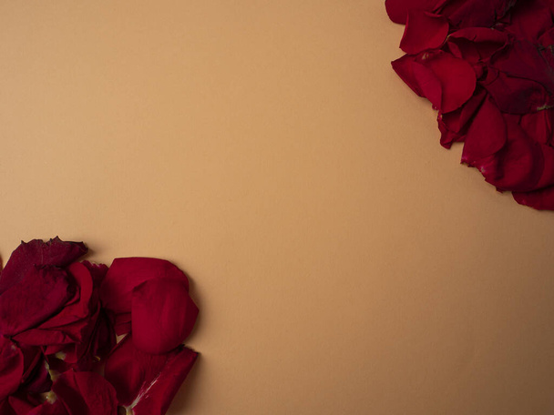 Mnoho okvětních lístků červené růže leží nad a pod oranžovým pozadím - Fotografie, Obrázek