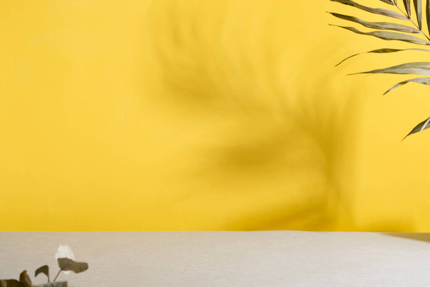 Duotone giallo sfondo grigio con ombre di palma. Colori di tendenza 2021. - Foto, immagini
