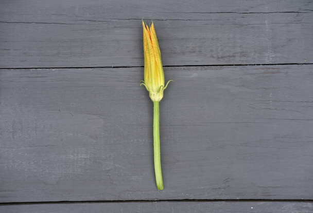 squash flower on a grey rustic table. edible flowers concept. copy space. top view. gardening and home grown vegetabls. vegetarian menu. - Valokuva, kuva
