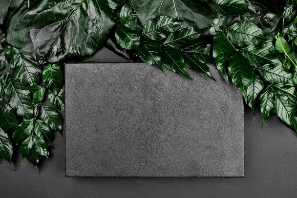 Mockup der Black Box auf dunklem Hintergrund mit grünen Blättern an den Seiten, kreatives Layout, flache Verlegung, Platz für Text, Draufsicht, Produktbanner, umweltfreundlich, Natur- und Umweltkonzept. - Foto, Bild