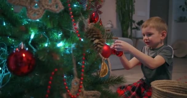 Jongen draagt kerstspeelgoed voor kerstboom - Video