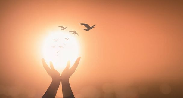 Молитвенные руки силуэта с птицами, летящими над закатом - Фото, изображение