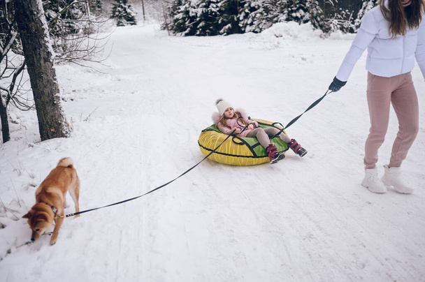 Happy mother and little cute girl in pink warm outwear walking having fun rides inflatable snow tube with red shiba inu dog in snowy white cold winter forest outdoors. Family sport vacation activities - Foto, afbeelding