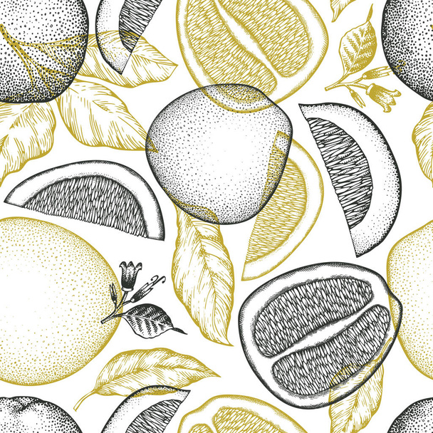 Hand drawn sketch style pomelo seamless pattern. Organic fresh fruit vector illustration. Retro fruit background - Вектор, зображення