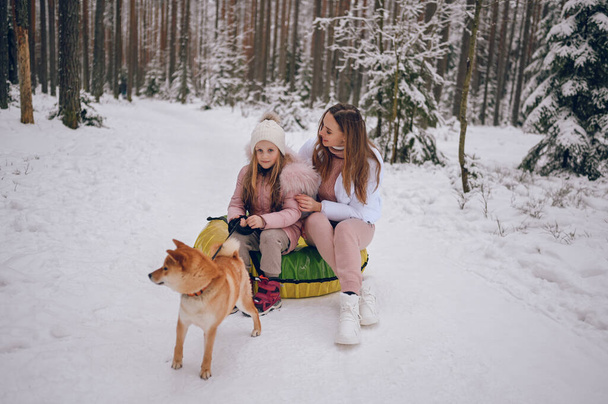 外を歩くピンク色の暖かい外で幸せな母親と小さなかわいい女の子雪の白い寒い冬の森の中で赤い柴犬の犬と楽しい乗り物インフレータブル雪チューブを屋外で持っています。家族スポーツ休暇活動 - 写真・画像