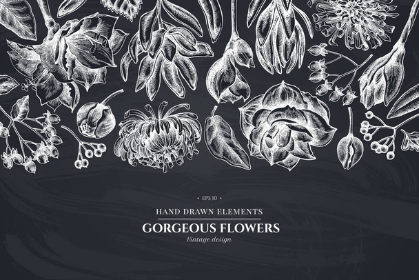 Floral design with chalk viburnum, hypericum, tulip, aster, leucadendron, amaryllis - Vector, Image