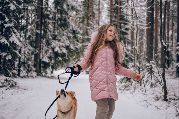Happy family weekend - little cute girl in pink warm outwear walking having fun with red shiba inu dog in snowy white cold winter forest outdoors. Kids sport vacation activities concept - Photo, Image