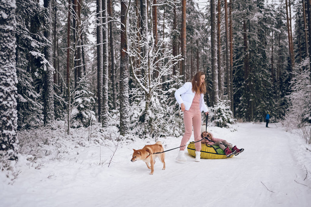Szczęśliwa matka i mała słodka dziewczyna w różowej ciepłej bieliźnie spacerując o zabawy przejażdżki nadmuchiwane rury śnieżnej z czerwonym shiba inu pies w śniegu biały zimowy las na zewnątrz. Rodzinne zajęcia sportowe - Zdjęcie, obraz