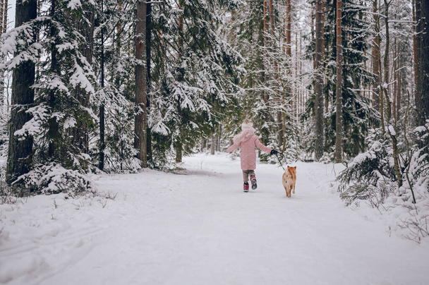 Šťastný rodinný víkend - malá roztomilá dívka v růžové teplé oblečení procházky baví s červenou shiba inu pes v zasněžené bílé studené zimní les venku. Koncept sportovních dovolených pro děti - Fotografie, Obrázek