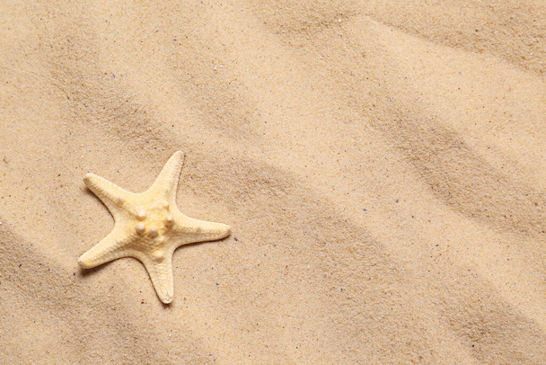 Beautiful starfish and space for text on beach sand, top view. Summer vacation - Foto, imagen