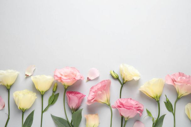 Beautiful Eustoma flowers on grey background, flat lay. Space for text - 写真・画像