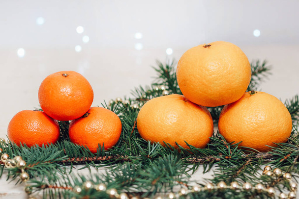 Clementines and tangerines on a spruce branch on a christmas background. - Zdjęcie, obraz