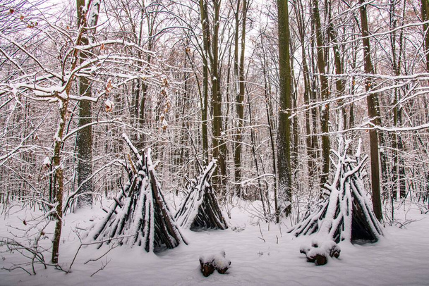 Winter forest with beautiful view.Falling snow.White Christmas in Bucharest  - Photo, Image