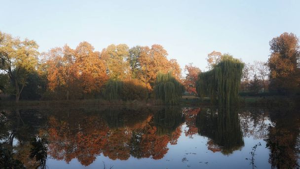 October morning, walk in the autumn park, trees and colorful tree leaves and their reflections in the pond - Photo, Image