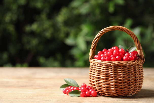 Ripe fresh cranberry in wicker basket on wooden table. Space for text - Фото, зображення