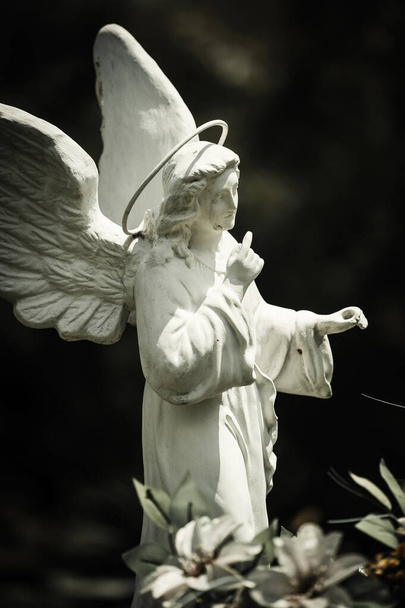 Скульптура ангелів на цвинтарі
 - Фото, зображення
