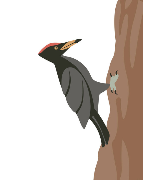 Pájaro carpintero macho en un tronco de árbol - Vector, Imagen