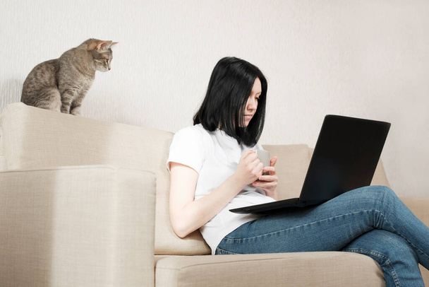 Молода жінка працює з дому, сидячи на дивані. Дівчина використовує ноутбук для віддаленої роботи. Сірий кіт сидить на дивані і ретельно стежить за роботою фрілансера. Залишайтеся вдома
. - Фото, зображення