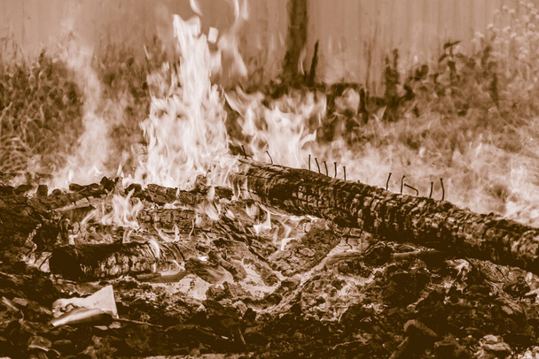 焼き払われた丸太のクローズアップ。火の写真だ。自然の中でたき火。煙と火だ。セピア。写真のテント。水平像 - 写真・画像
