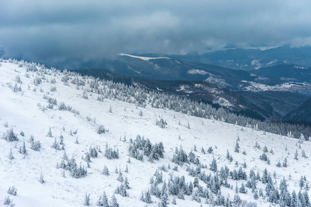 ялинки і гори вкриті снігом. красивий зимовий пейзаж
 - Фото, зображення