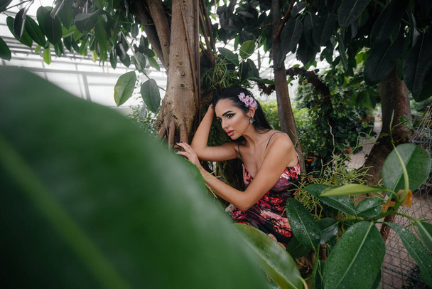 A young beautiful brunette posing among dense thickets of jungle and rainforest. Spa - Foto, Bild