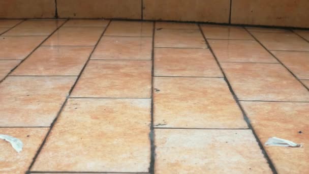Raindrops fall on the tiled floor of the terrace - Footage, Video