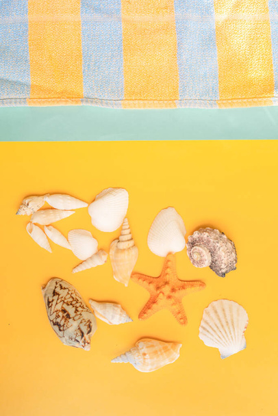 黄色と青の背景にタオルで隔離された貝殻やヒトデのグループ. - 写真・画像