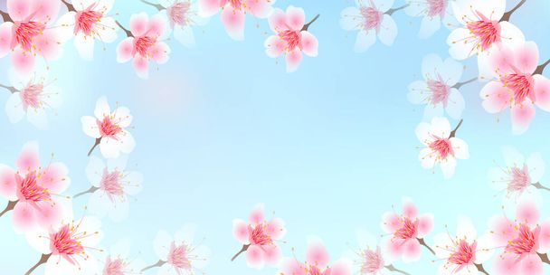 Flores de cerezo paisaje primavera fondo - Vector, Imagen