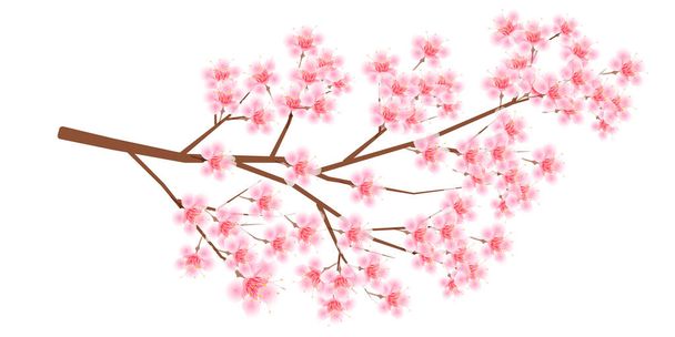 Cseresznyefa virág tavasz ikon - Vektor, kép