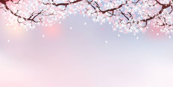Flores de cerezo paisaje primavera fondo - Vector, imagen