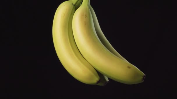 Clear water flows on a bunch of hanging bananas on a black background close-up. Washing fruit after shopping at the supermarket. Freshness and hygiene concept - Footage, Video