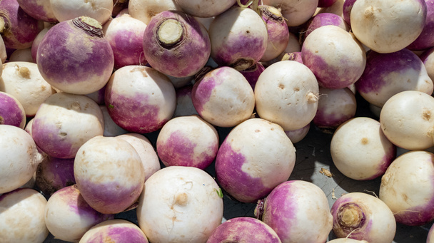 Purple Turnips brassica vers biologisch tentoongesteld op een boerenmarktkraam als achtergrond - Foto, afbeelding