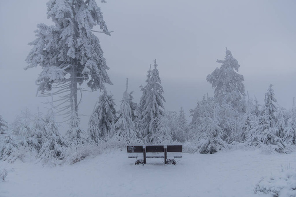 Зимовий туризм у різних місцях через Туринзький ліс (Німеччина). - Фото, зображення