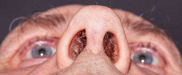 Old man's nose nostrils with hair, bottom view - Foto, Imagem