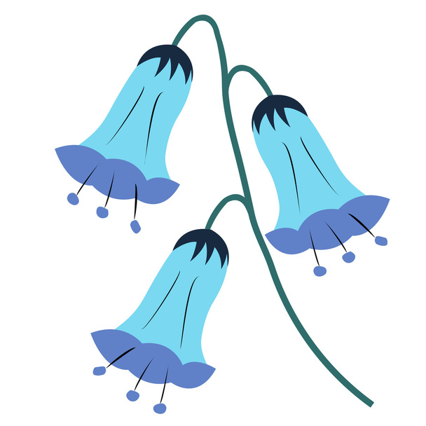 aranžování květin, bluebell na bílém pozadí - Vektor, obrázek